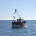 Extra picture for advert 147554