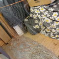 Thumbnail for picture 5