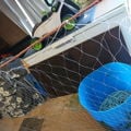 Thumbnail for picture 3
