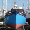 Extra picture for advert 146561