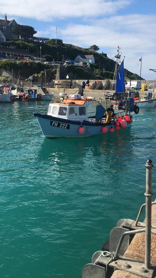 Large picture for advert 133564