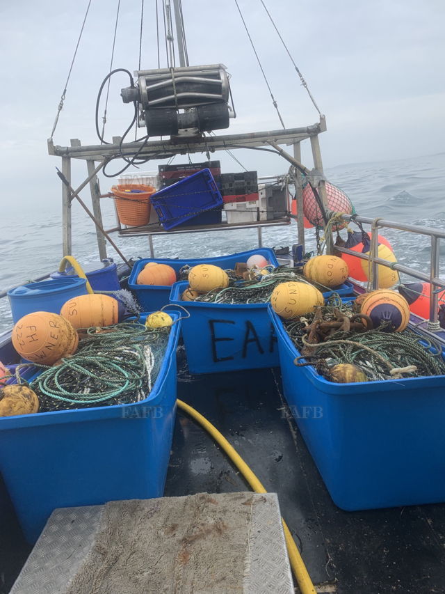 Large picture for advert 133564