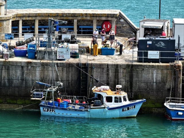 Large picture for advert 133564