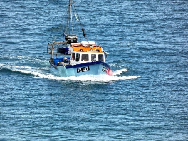 Large picture for advert 133564