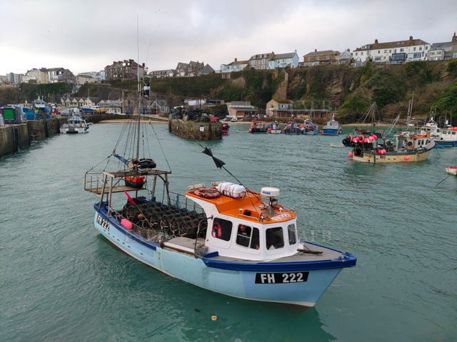 Large picture for advert 133564