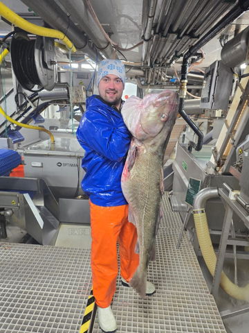 fisherman, shrimp, fish, crab