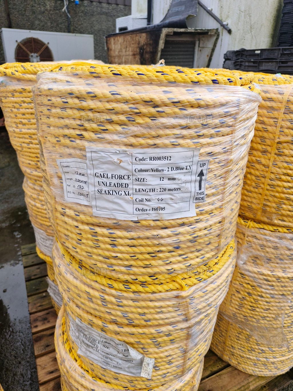 Gaelforce Seaking XL 12mm