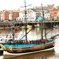 Extra picture for advert 146568