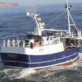 Vivier crabber - picture 3