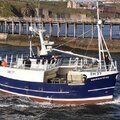 Vivier crabber - picture 2