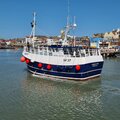 Vivier crabber - picture 4