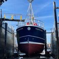 Vivier crabber - picture 6