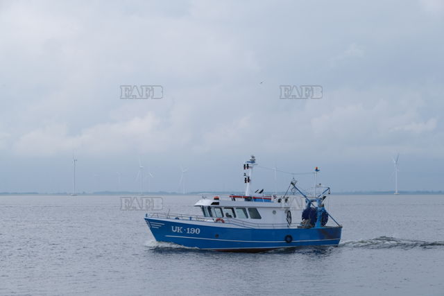 Large picture for advert 116569