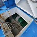 Thumbnail for picture 5