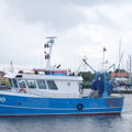 Extra picture for advert 116569