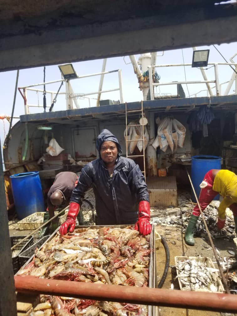 Deckhand