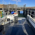 Extra picture for advert 146570