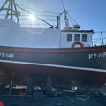 Extra picture for advert 147570