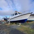 Extra picture for advert 147571