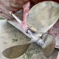 Thumbnail for picture 12