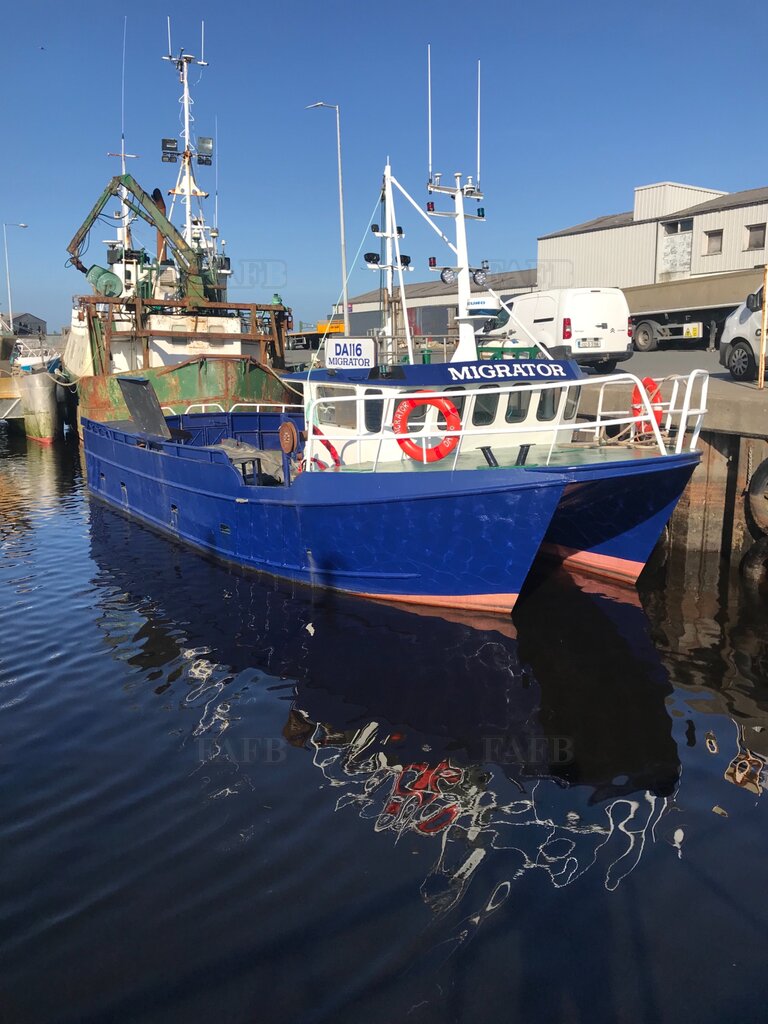 Steel Catamaran