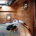 Thumbnail for picture 12