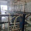 Large crab /lobsters oysters purification holding tanks for sale - picture 7