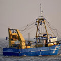 trawler - beam trawling and twinrigging - picture 3
