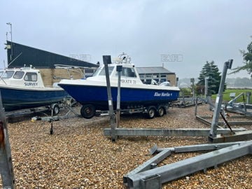Blue marlin