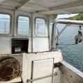 Thumbnail for picture 5