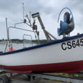 Thumbnail for picture 6