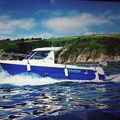 Thumbnail for picture 31