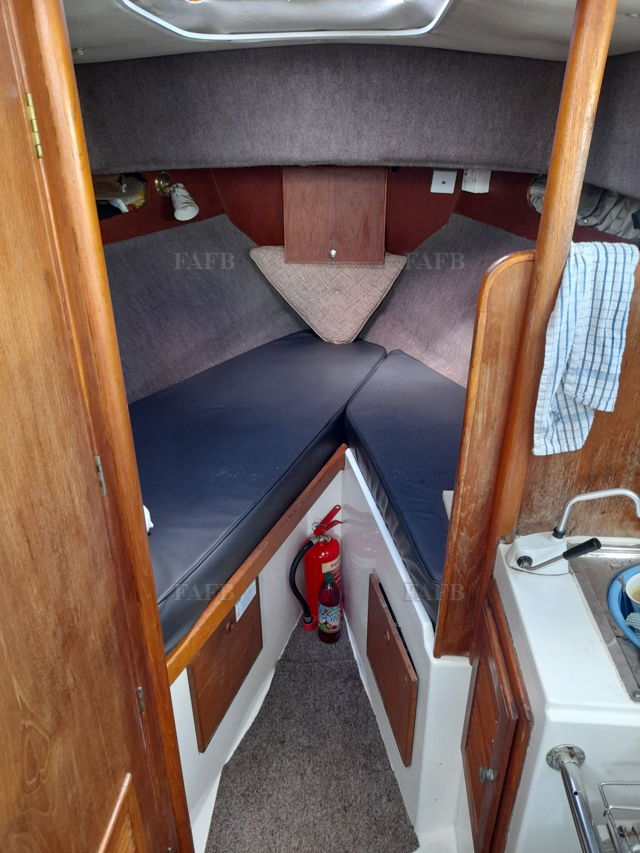 Large picture for advert 143585