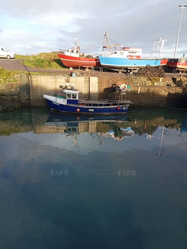 Large picture for advert 144585