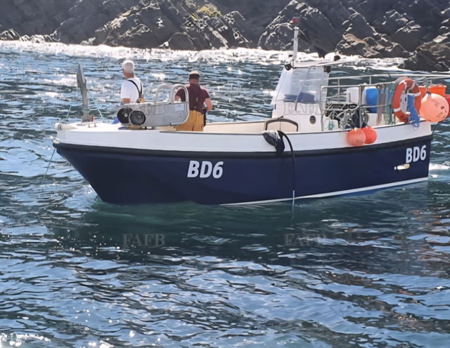 Large picture for advert 144586