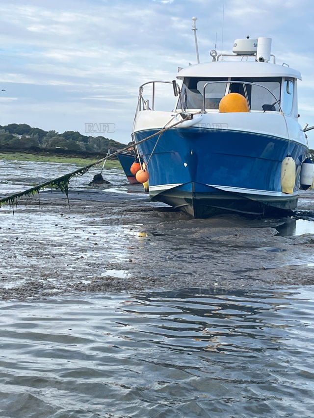 Large picture for advert 127588