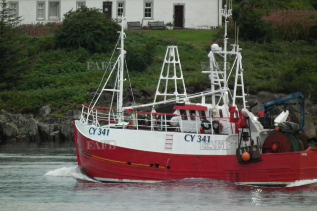 Large picture for advert 142589