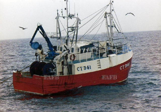 Large picture for advert 142589