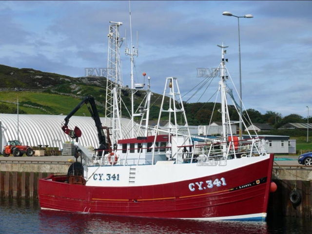 Large picture for advert 142589