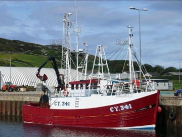 Laurel CY341