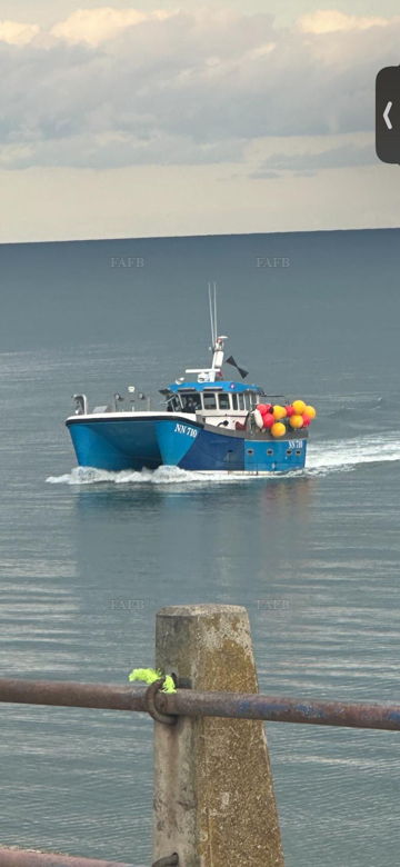 Main picture for advert 142059