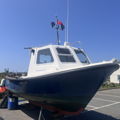 Extra picture for advert 147059