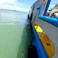 Thumbnail for picture 3