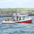 Extra picture for advert 148592