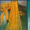 Thumbnail for picture 6