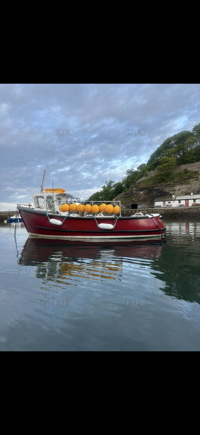 Large picture for advert 147594