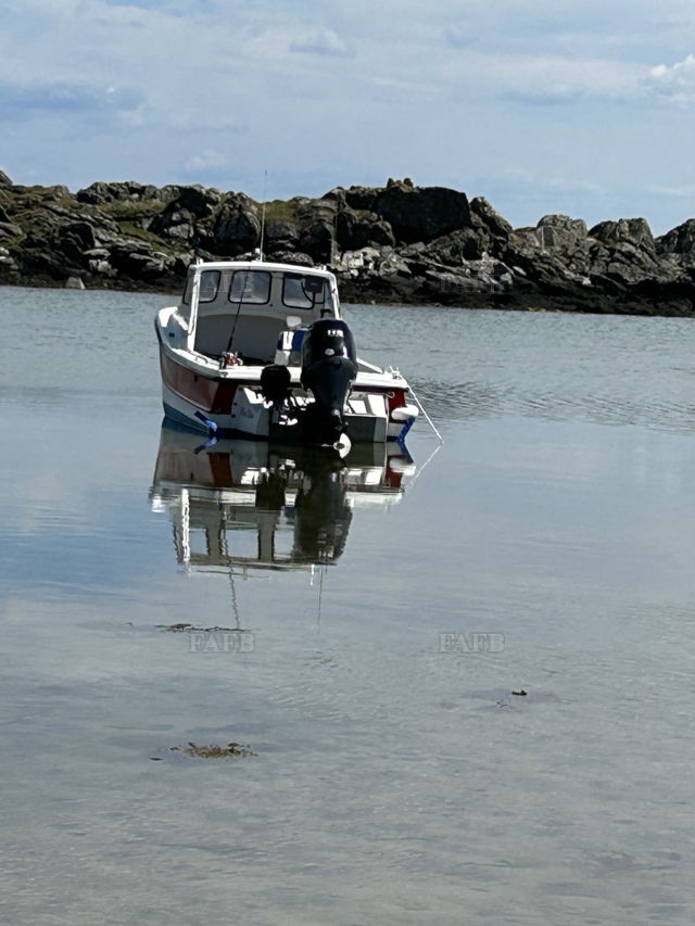 Large picture for advert 143596