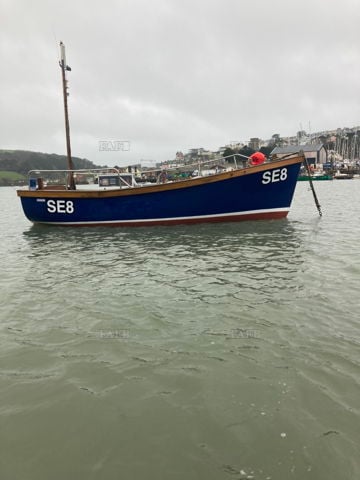 Sea Bird