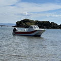 Thumbnail for picture 5