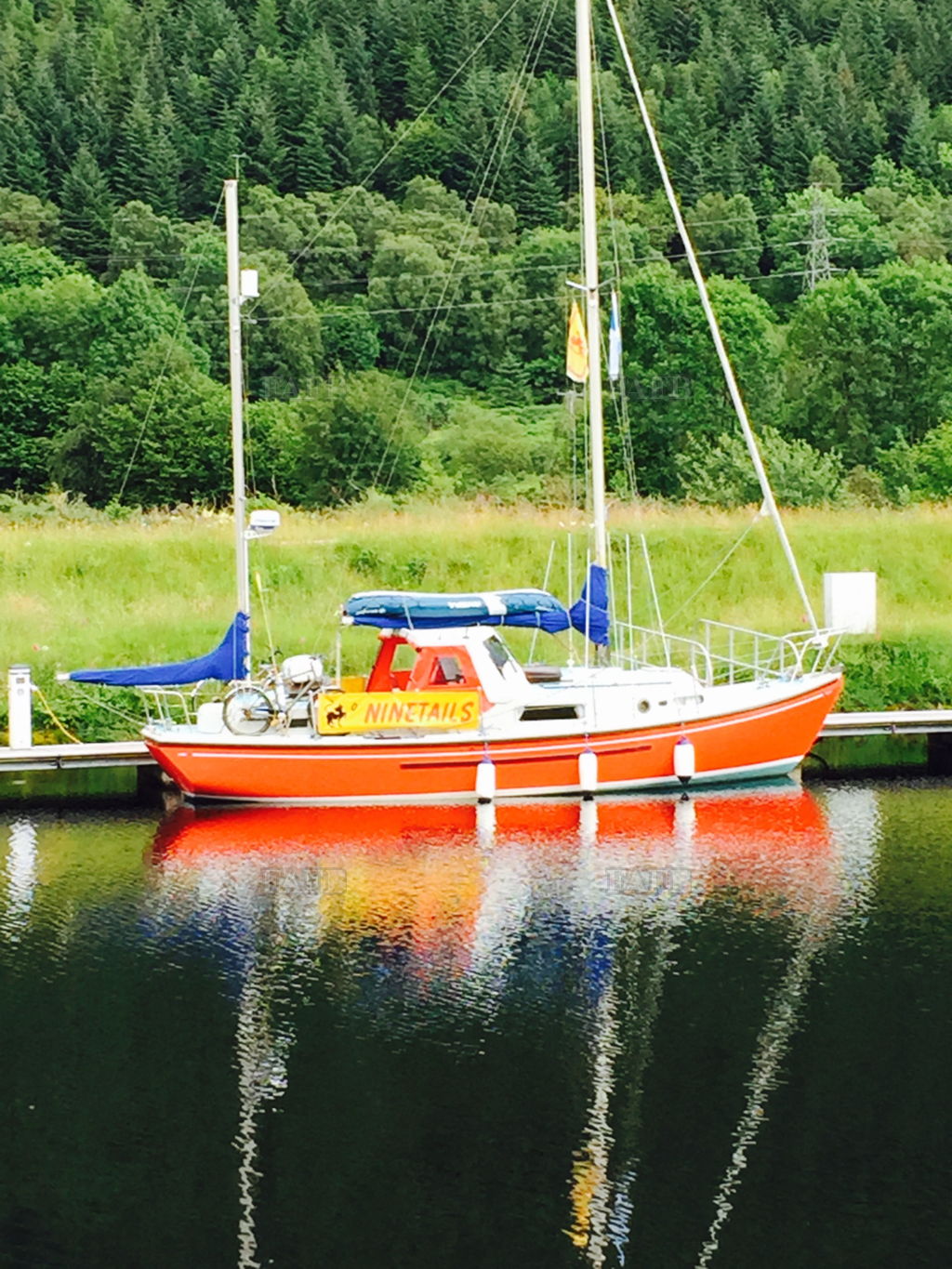 Macwester Wight